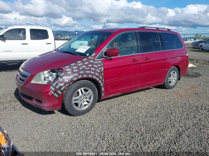 2006 Honda Odyssey Ex-L VIN: 5FNRL38646B038754 Lot: 39109661