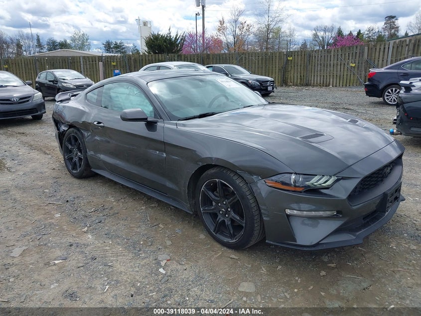 FORD MUSTANG ECOBOOST 2019