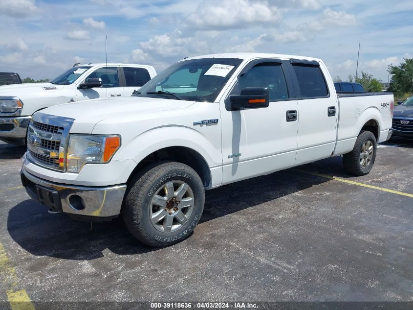 1FTFW1ET2EKF95561 | 2014 FORD F-150