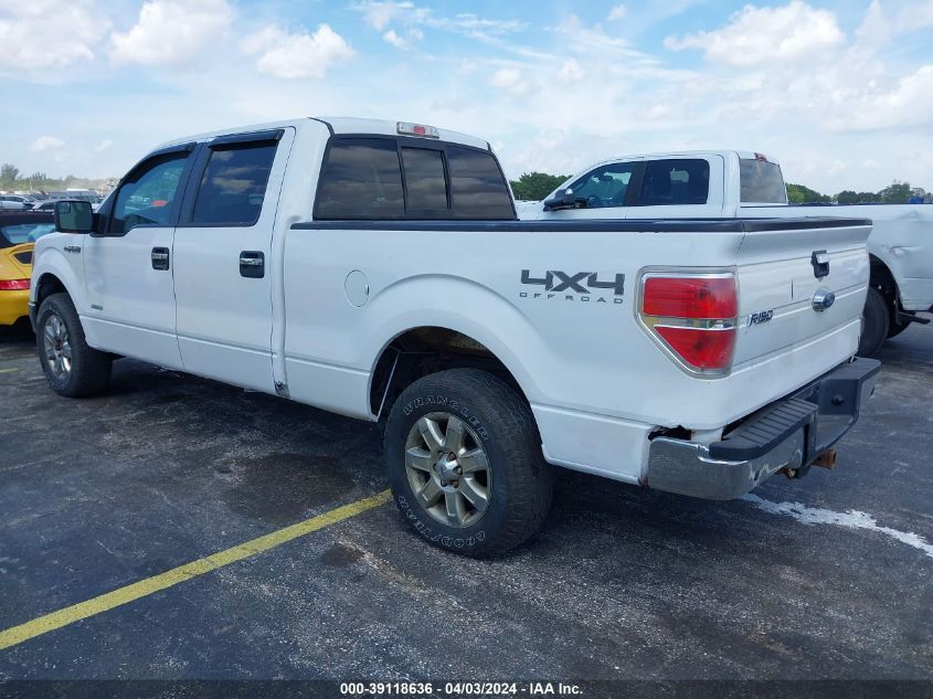 1FTFW1ET2EKF95561 | 2014 FORD F-150