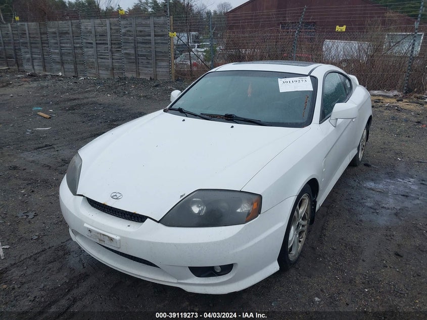 2006 Hyundai Tiburon Gt/Gt Limited/Se VIN: KMHHN65F56U229856 Lot: 39119273