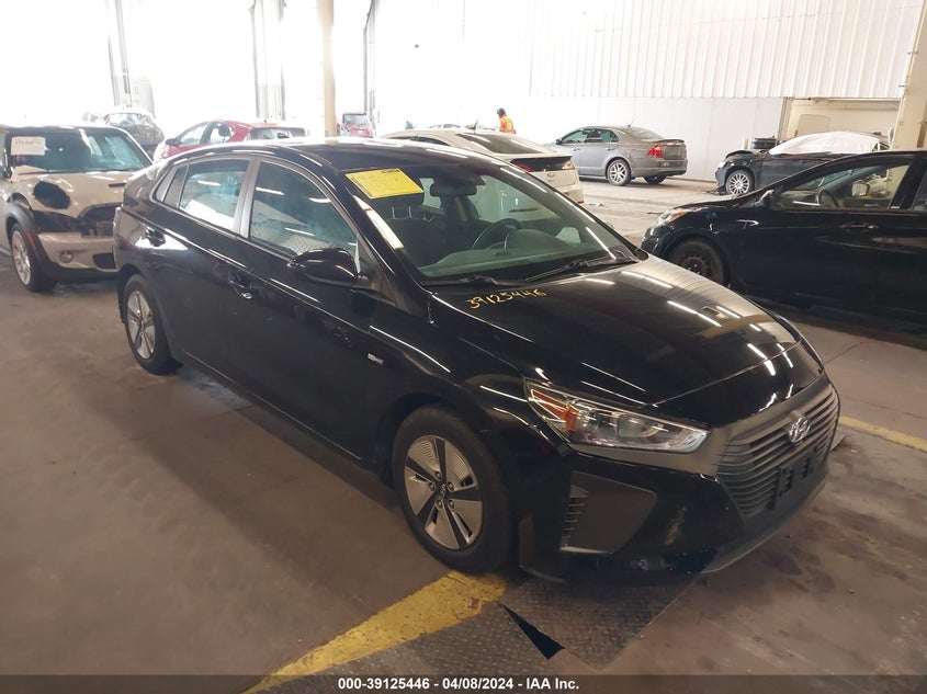 2019 Hyundai Ioniq Hybrid Blue VIN: KMHC65LC3KU166065 Lot: 39125446