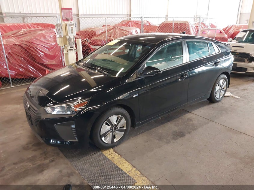 2019 Hyundai Ioniq Hybrid Blue VIN: KMHC65LC3KU166065 Lot: 39125446