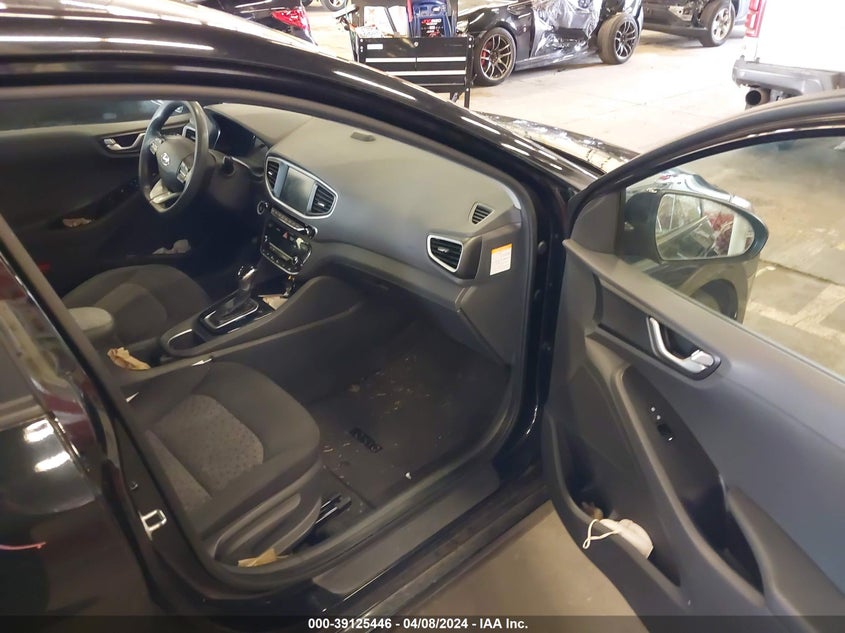 2019 Hyundai Ioniq Hybrid Blue VIN: KMHC65LC3KU166065 Lot: 39125446