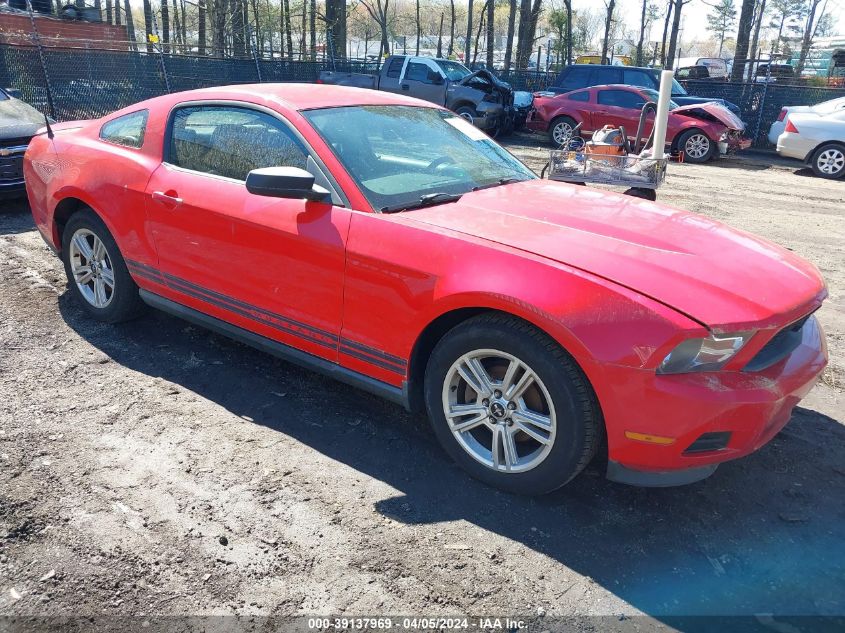 1ZVBP8AN5A5170062 | 2010 FORD MUSTANG