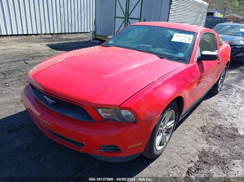 1ZVBP8AN5A5170062 | 2010 FORD MUSTANG