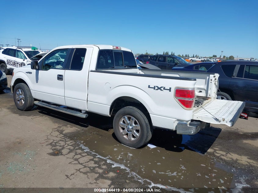 2013 Ford F-150 Xlt VIN: 1FTFX1EF4DFA68216 Lot: 39144419