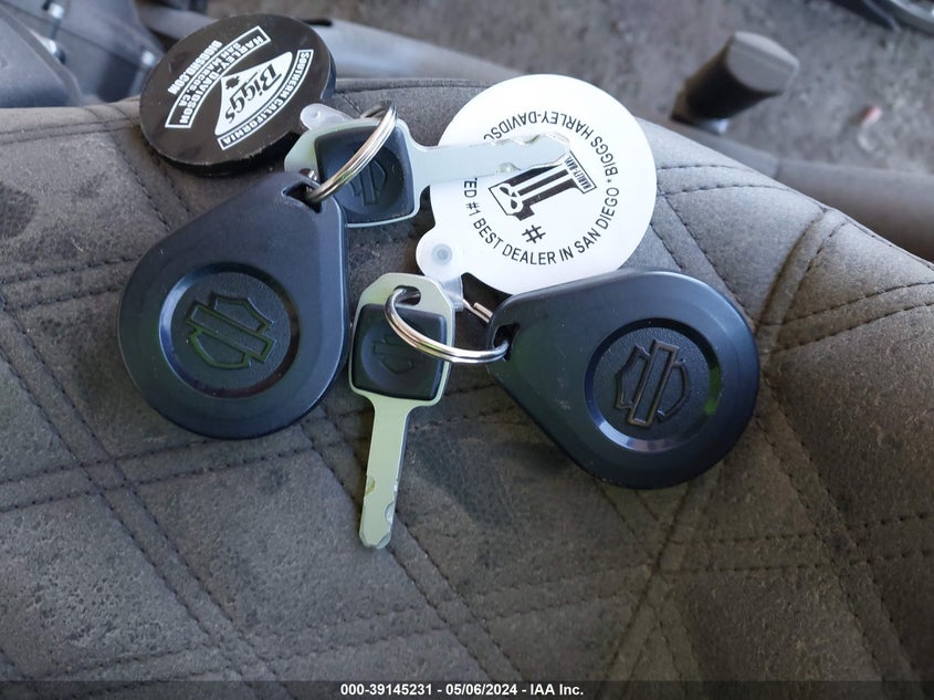 2024 Harley-Davidson Fxlrst VIN: 1HD1YXZ28RB019437 Lot: 39145231