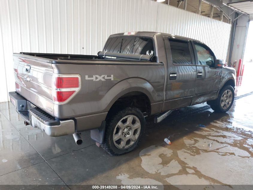 2013 FORD F-150 XLT - 1FTFW1EF3DFC65512