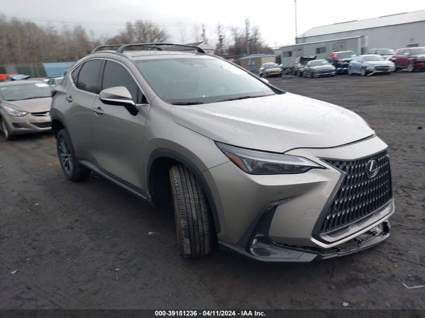 2023 LEXUS NX 350 PREMIUM - 2T2GGCEZXPC029777