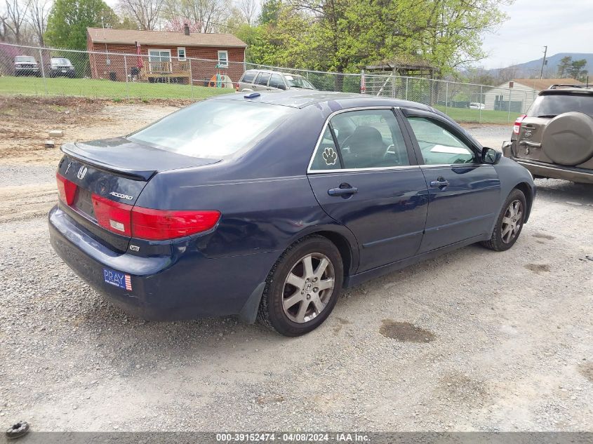 1HGCM66595A057257 | 2005 HONDA ACCORD