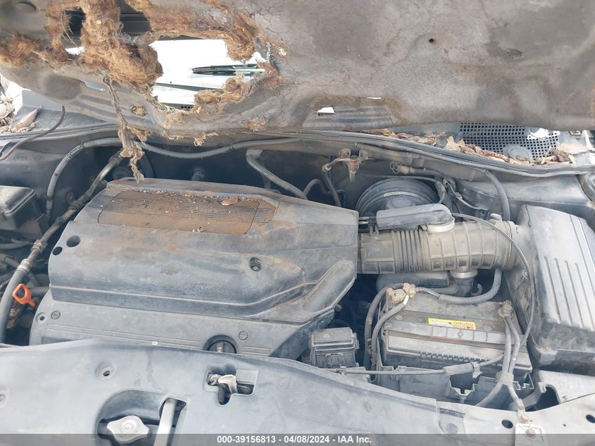 2004 Honda Odyssey Ex-L VIN: 5FNRL180X4B074056 Lot: 39156813