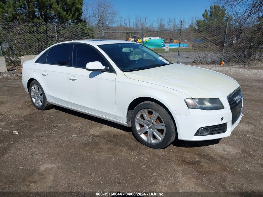 2011 Audi A4 2.0T Premium VIN: WAUAFAFL4BN050123 Lot: 40430684