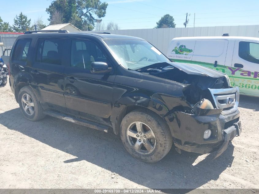 2009 Honda Pilot Ex-L VIN: 5FNYF38509B025806 Lot: 40810789