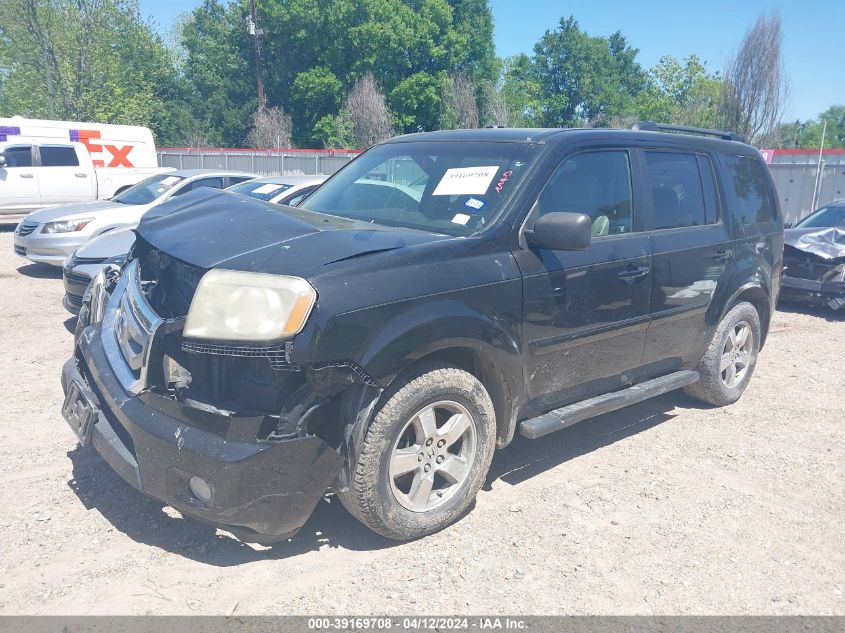 2009 Honda Pilot Ex-L VIN: 5FNYF38509B025806 Lot: 40810789