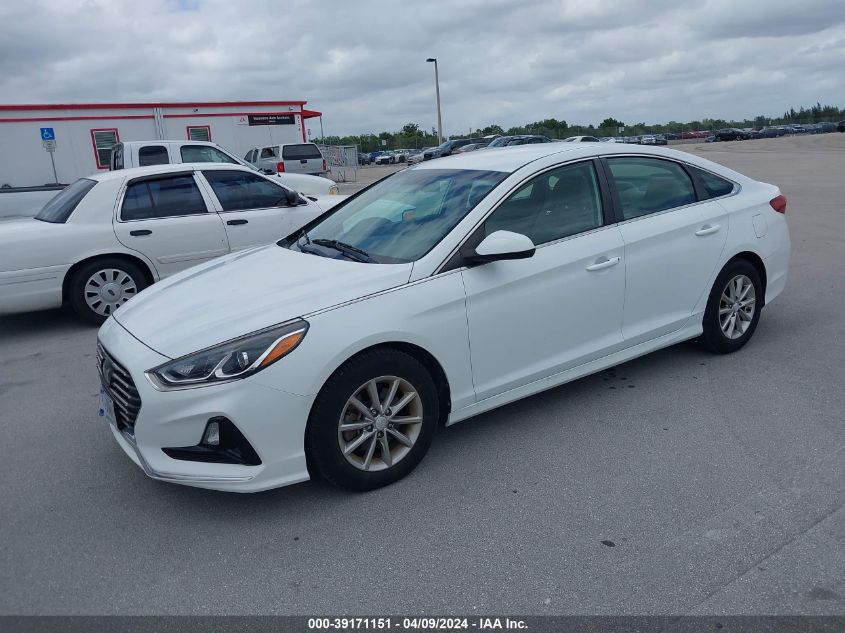 2018 Hyundai Sonata Eco VIN: 5NPE24AA0JH702564 Lot: 39171151