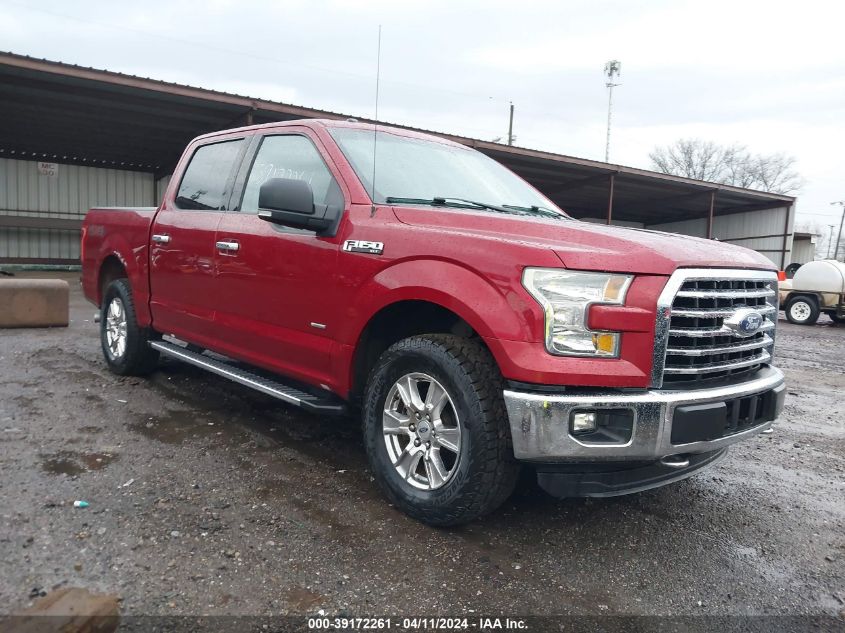 2015 FORD F-150 XLT - 1FTEW1EP0FFC90276