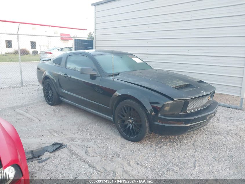 2005 Ford Mustang V6 Deluxe/V6 Premium VIN: 1ZVFT80N355113315 Lot: 39174901