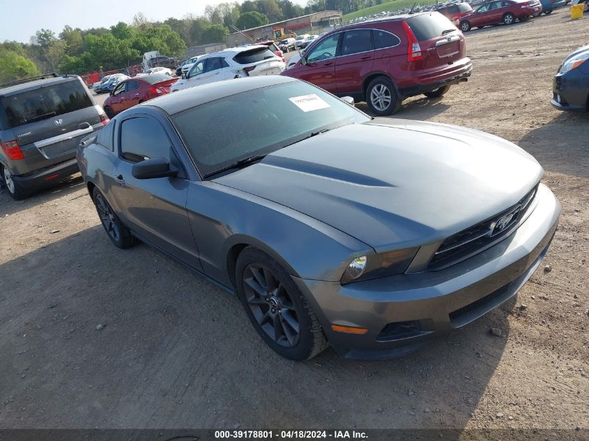 2011 Ford Mustang V6 Premium VIN: 1ZVBP8AM9B5141091 Lot: 39178801