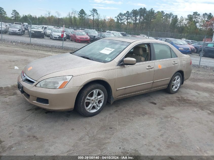 1HGCM56786A167696 | 2006 HONDA ACCORD