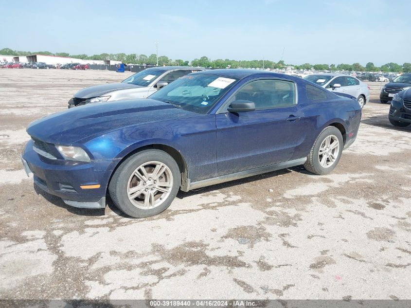 2012 Ford Mustang V6 VIN: 1ZVBP8AM6C5264865 Lot: 39189440