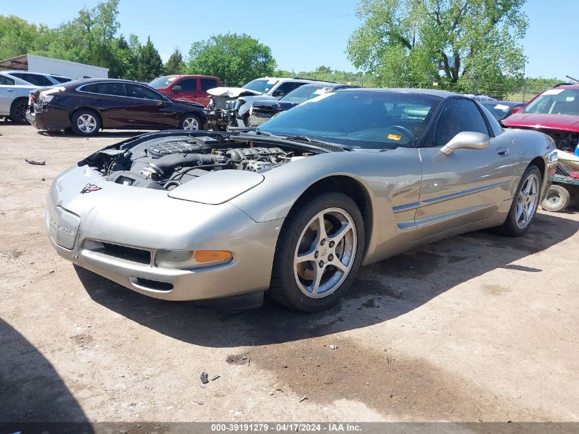 2000 Chevrolet Corvette Hardtop VIN: 1G1YY12G6Y5100316 Lot: 39191279