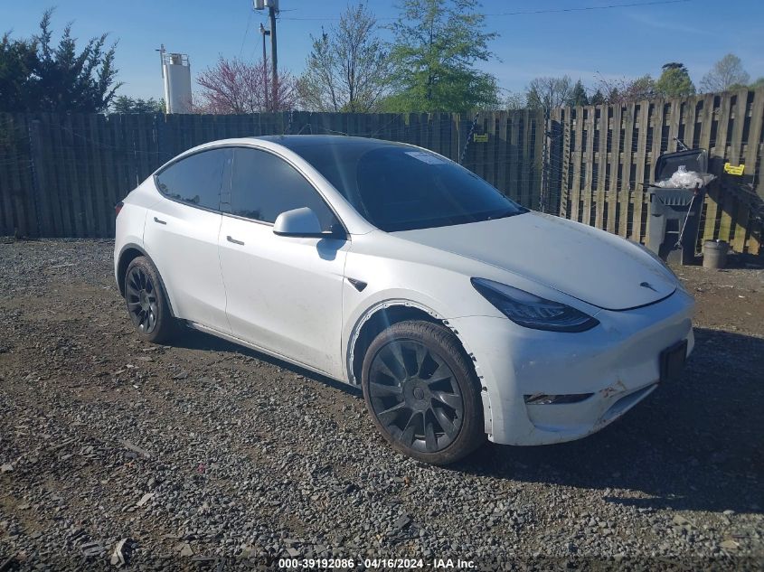 2023 TESLA MODEL Y - 7SAYGDEE3PA051000