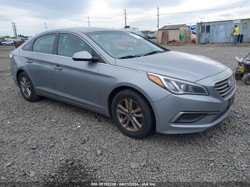 2016 Hyundai Sonata VIN: 5NPE24AF9GH399062 Lot: 39192239