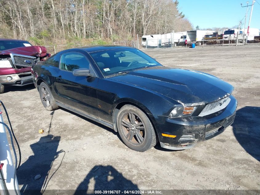 1ZVBP8AN4A5142771 | 2010 FORD MUSTANG