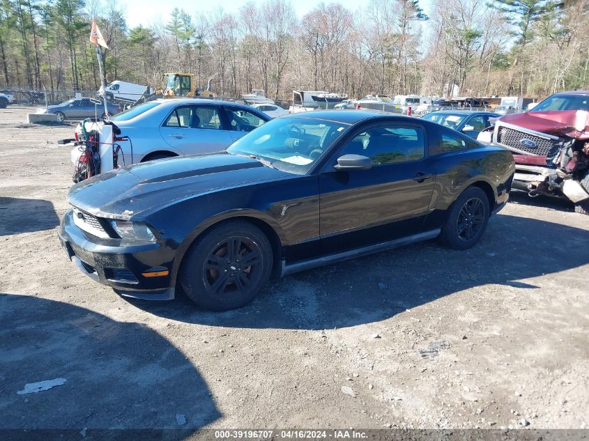 1ZVBP8AN4A5142771 | 2010 FORD MUSTANG