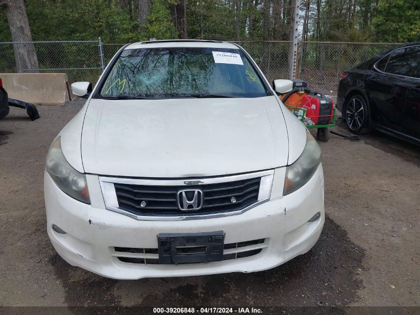 2010 Honda Accord 3.5 Ex-L VIN: 1HGCP3F83AA005505 Lot: 39206848