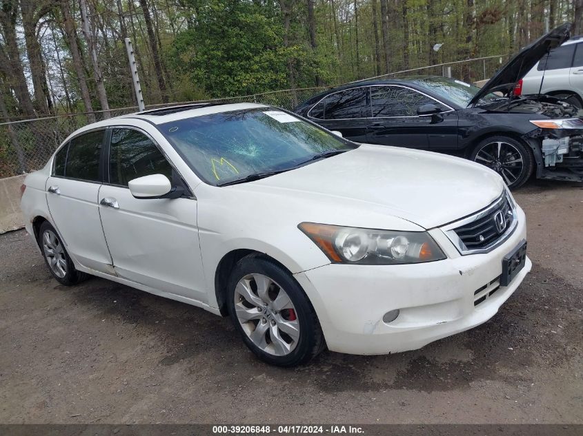 2010 Honda Accord 3.5 Ex-L VIN: 1HGCP3F83AA005505 Lot: 39206848