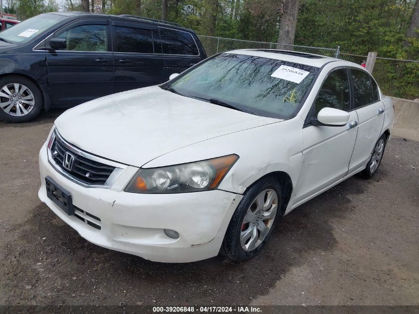 2010 Honda Accord 3.5 Ex-L VIN: 1HGCP3F83AA005505 Lot: 39206848