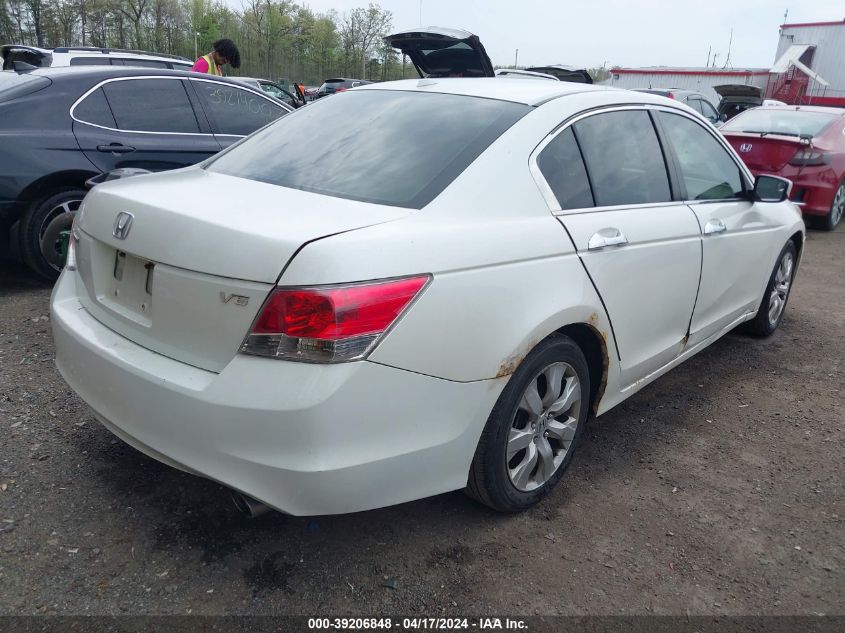 2010 Honda Accord 3.5 Ex-L VIN: 1HGCP3F83AA005505 Lot: 39206848
