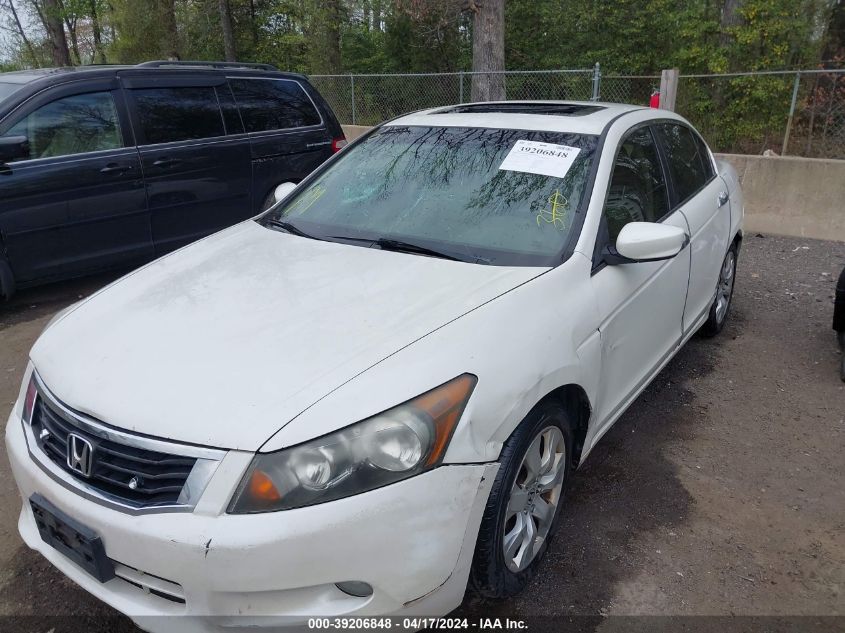 2010 Honda Accord 3.5 Ex-L VIN: 1HGCP3F83AA005505 Lot: 39206848