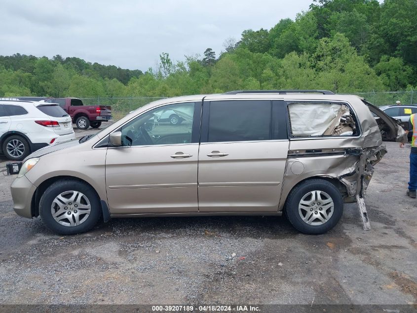 2007 Honda Odyssey Ex-L VIN: 5FNRL386X7B429375 Lot: 39207189