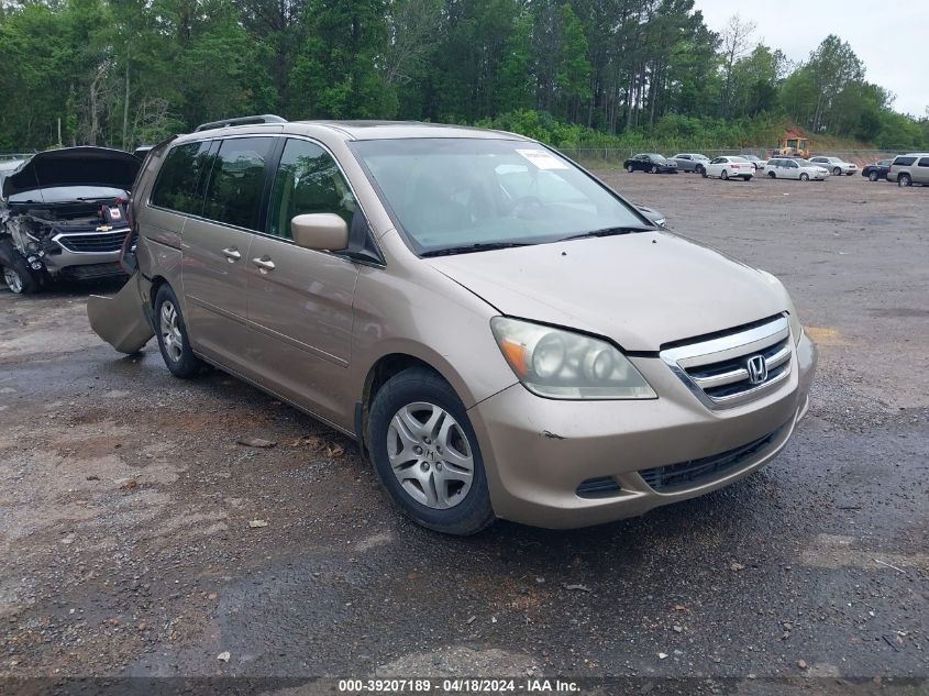 2007 Honda Odyssey Ex-L VIN: 5FNRL386X7B429375 Lot: 39207189