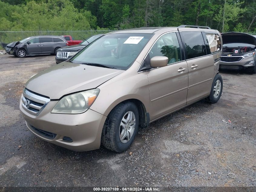 2007 Honda Odyssey Ex-L VIN: 5FNRL386X7B429375 Lot: 39207189