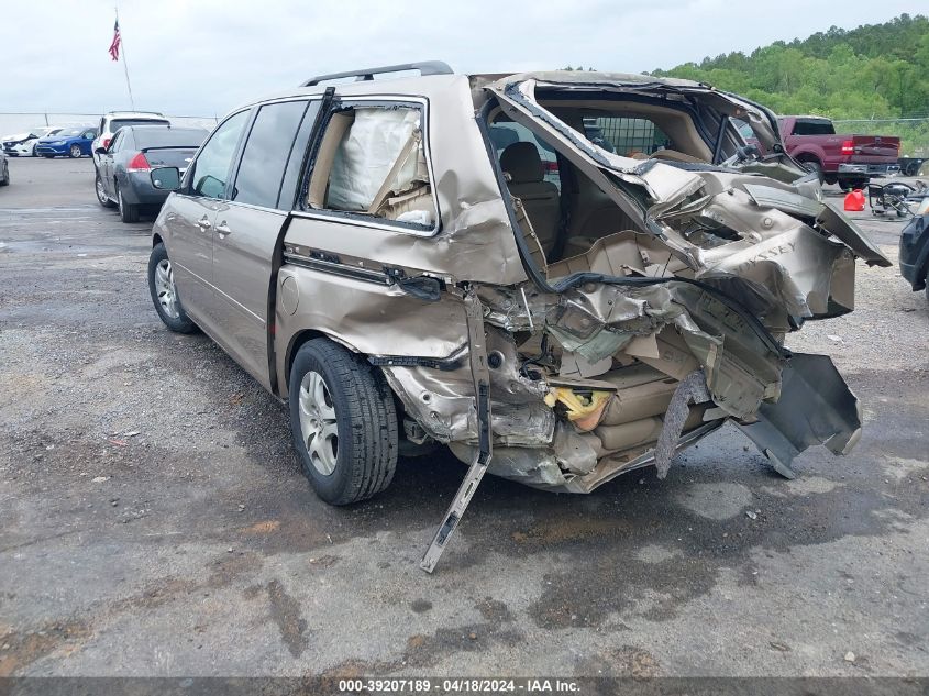 2007 Honda Odyssey Ex-L VIN: 5FNRL386X7B429375 Lot: 39207189