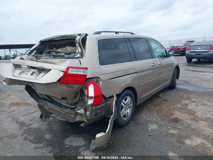 2007 Honda Odyssey Ex-L VIN: 5FNRL386X7B429375 Lot: 39207189