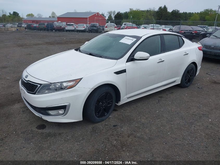 KNAGM4AD2B5005621 | 2011 KIA OPTIMA HYBRID