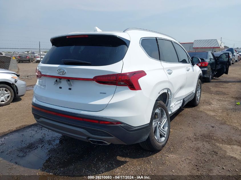 2023 Hyundai Santa Fe Sel VIN: 5NMS2DAJ0PH567742 Lot: 39210083