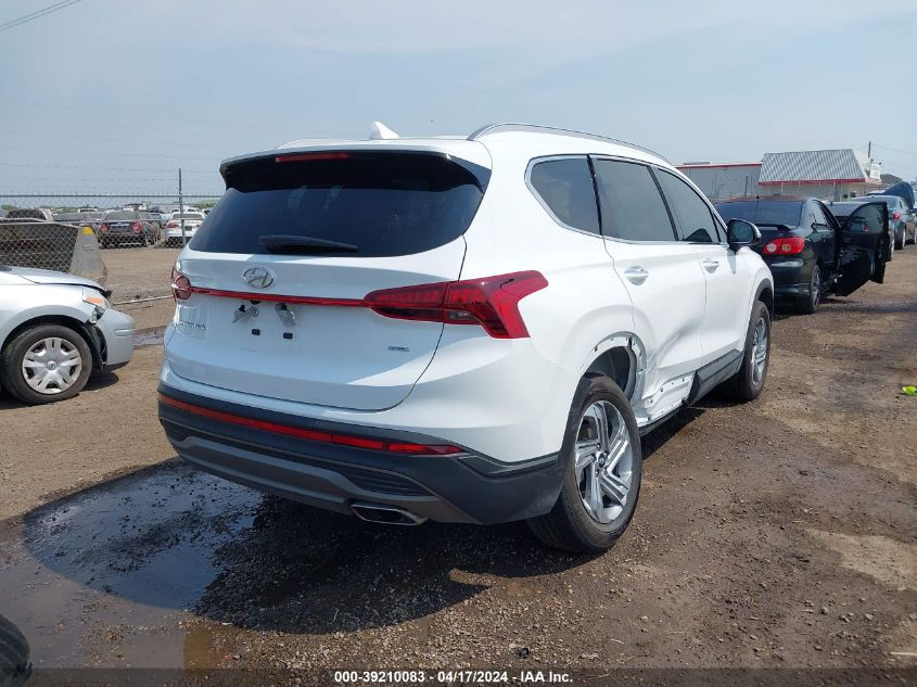 2023 Hyundai Santa Fe Sel VIN: 5NMS2DAJ0PH567742 Lot: 39210083