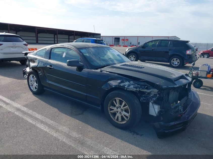 1ZVFT80N975293760 | 2007 FORD MUSTANG