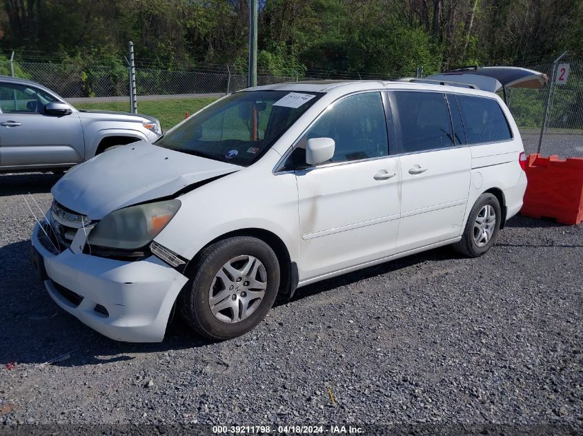 2007 Honda Odyssey Ex-L VIN: 5FNRL38797B145325 Lot: 48048654