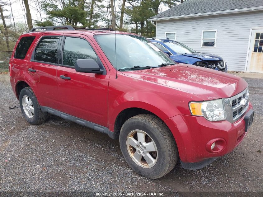 2010 Ford Escape Xlt VIN: 1FMCU0D70AKD25869 Lot: 48906674