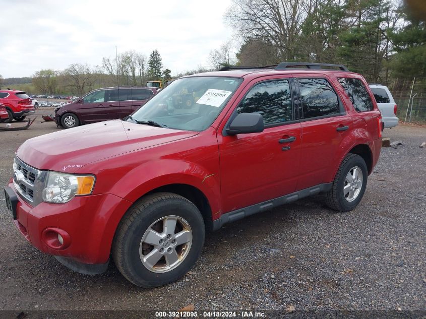 2010 Ford Escape Xlt VIN: 1FMCU0D70AKD25869 Lot: 48906674