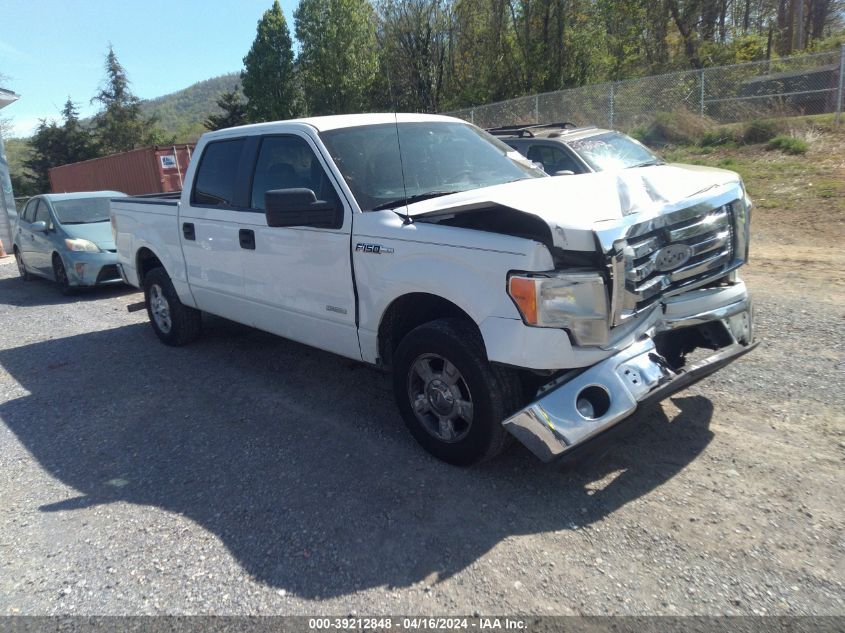 2011 Ford F-150 Xlt VIN: 1FTFW1CT1BKD59885 Lot: 39212848