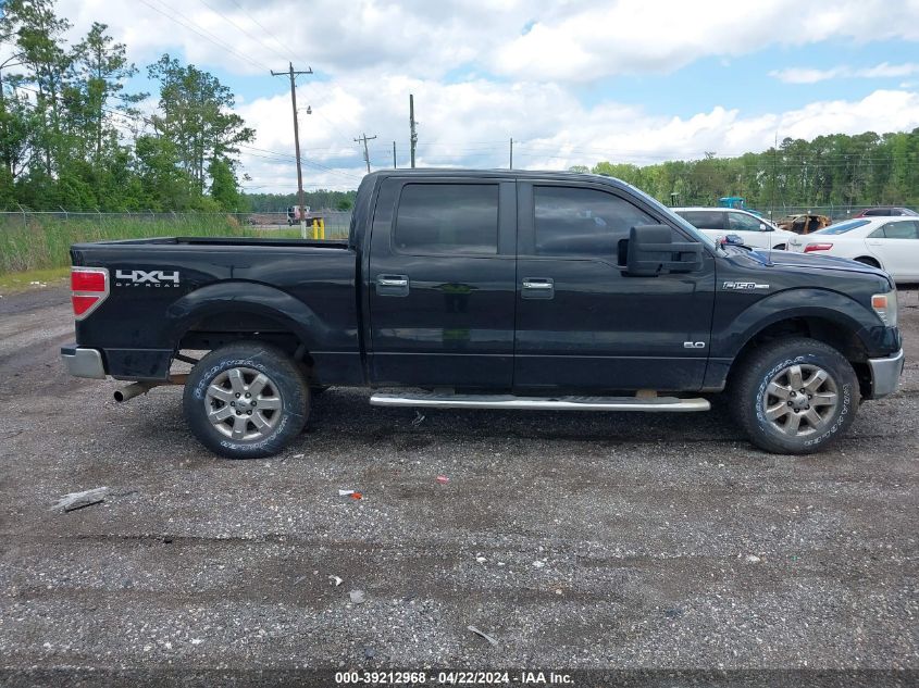 2014 FORD F-150 XLT - 1FTFW1EF9EFA41677