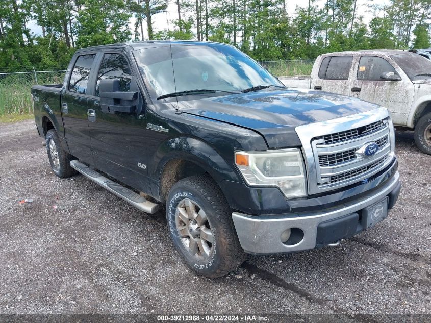 2014 Ford F-150 Xlt VIN: 1FTFW1EF9EFA41677 Lot: 39212968